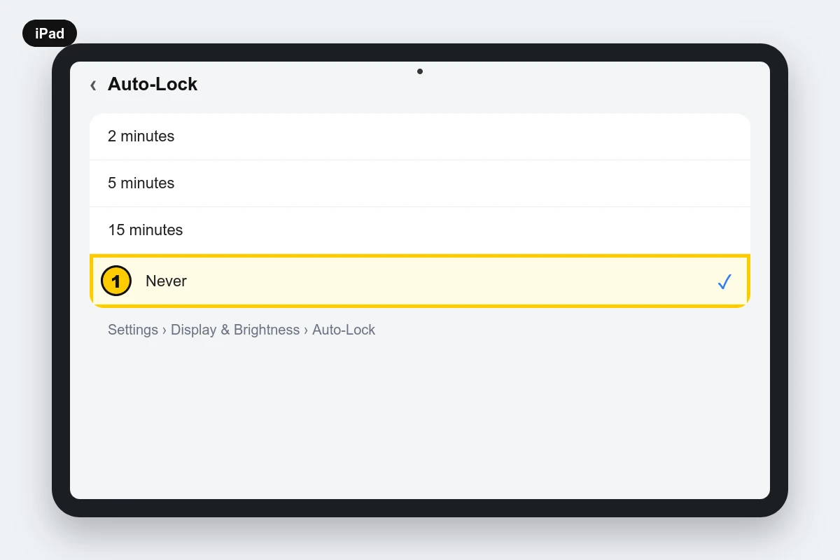 iPad Display and Brightness Auto-Lock setting set to Never